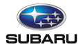 Logo of Subaru - Queenstown Airport